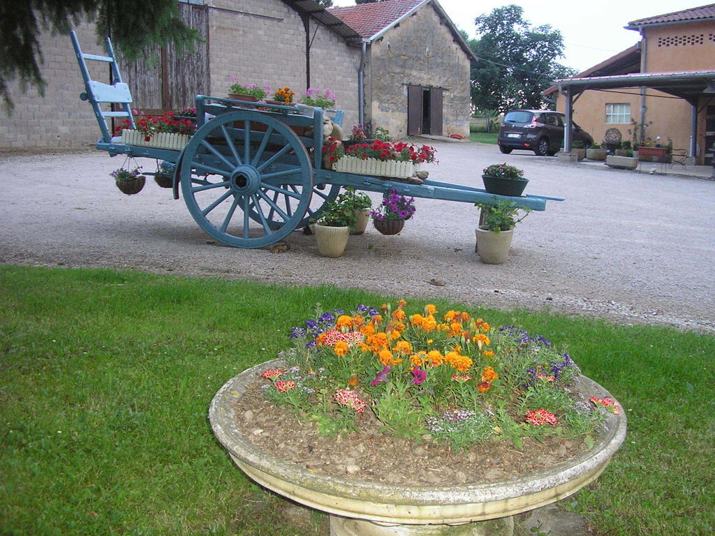 Domaine De La Belliere Hotel Villars-les-Dombes Exterior photo