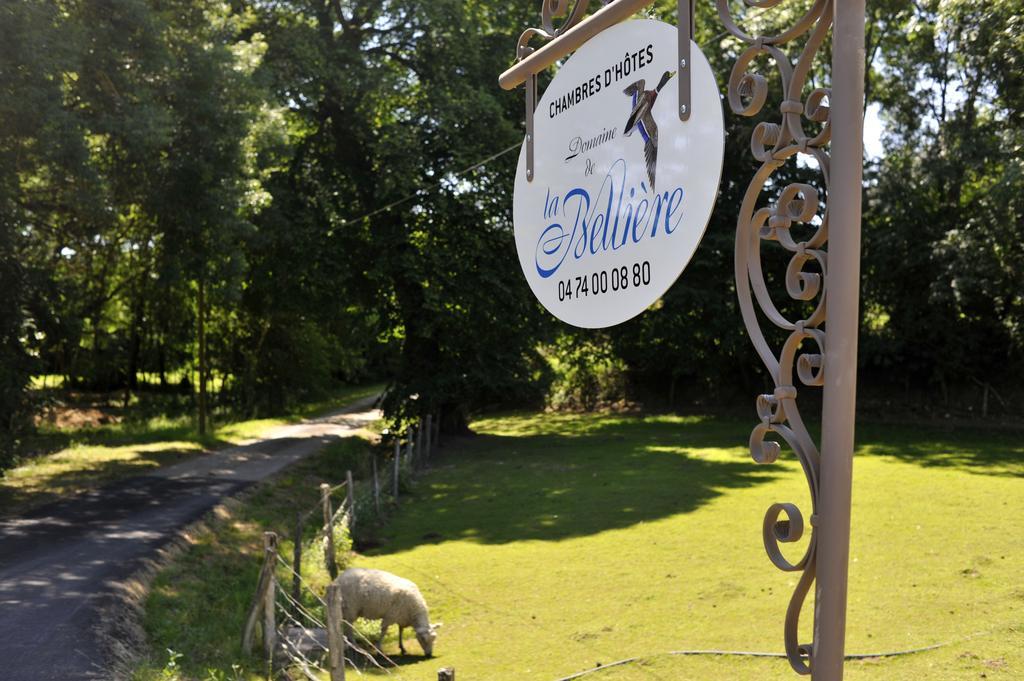 Domaine De La Belliere Hotel Villars-les-Dombes Exterior photo